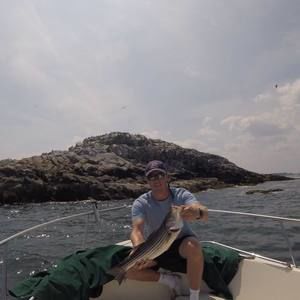 Meet your Posher, Ben